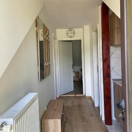 شقة Milosavljevic *