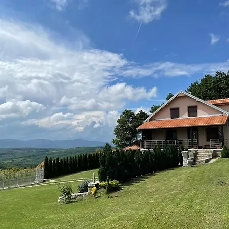 Milosavljevic Kursumlija