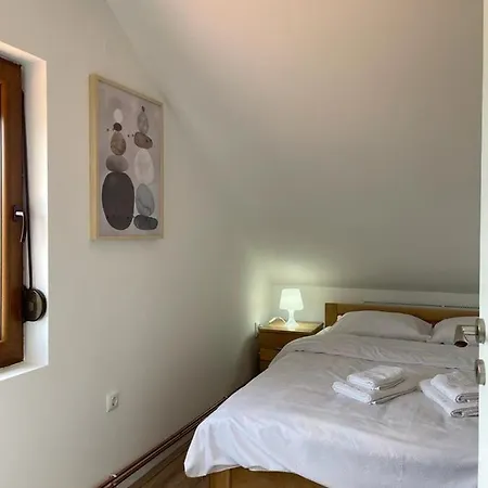 Milosavljevic Apartment Kursumlija