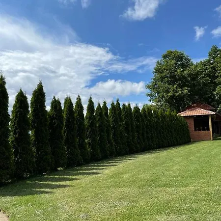 Milosavljevic * Kursumlija