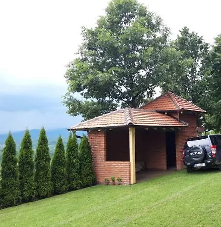 Milosavljevic * Kursumlija