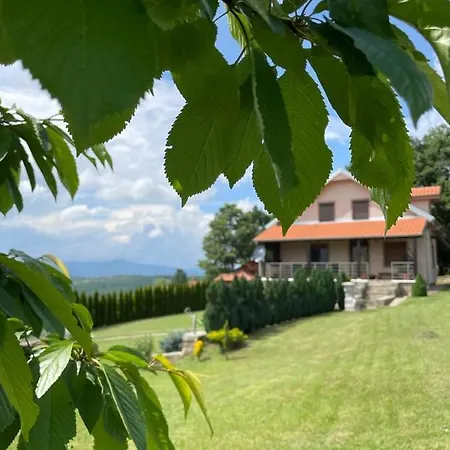 Milosavljevic *