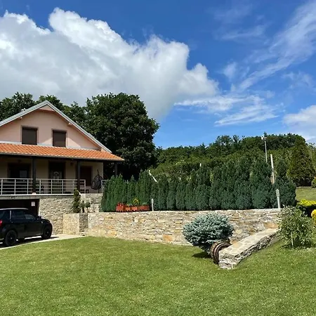 Milosavljevic * Kursumlija