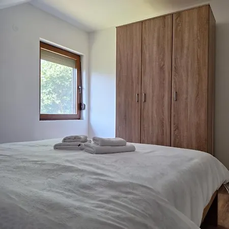 Milosavljevic * Kursumlija