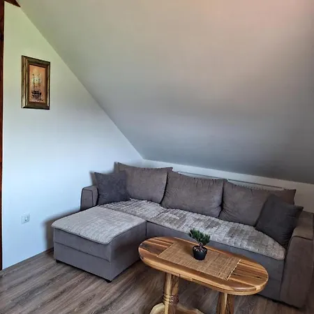 Milosavljevic Kursumlija