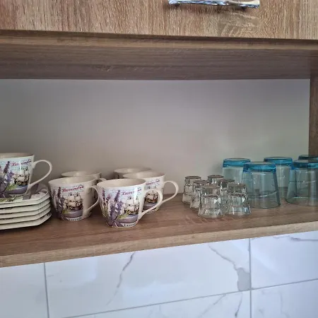 Milosavljevic Apartment Kursumlija