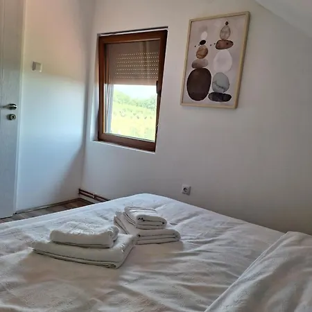 Milosavljevic Apartment