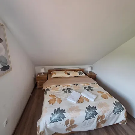 Milosavljevic * Kursumlija