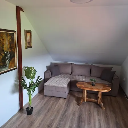 Milosavljevic * Kursumlija