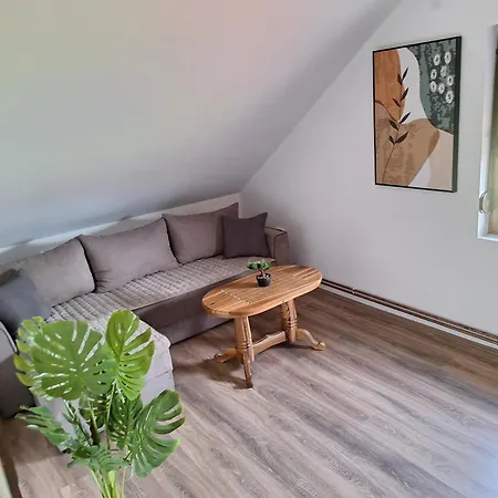 Milosavljevic شقة