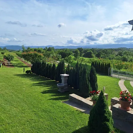 Milosavljevic 公寓 *