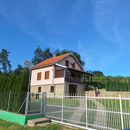 Milosavljevic 公寓 Kursumlija