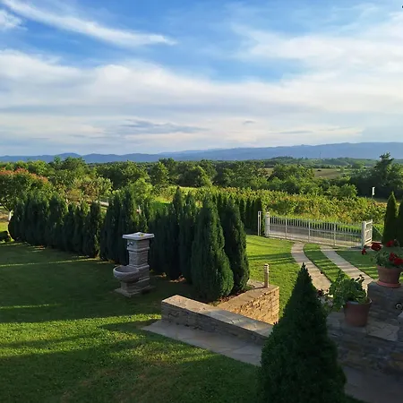 Milosavljevic Kursumlija