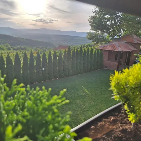 Milosavljevic * Kursumlija